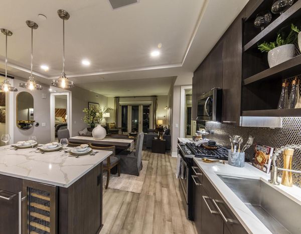 Luxury Townhomes in Denver