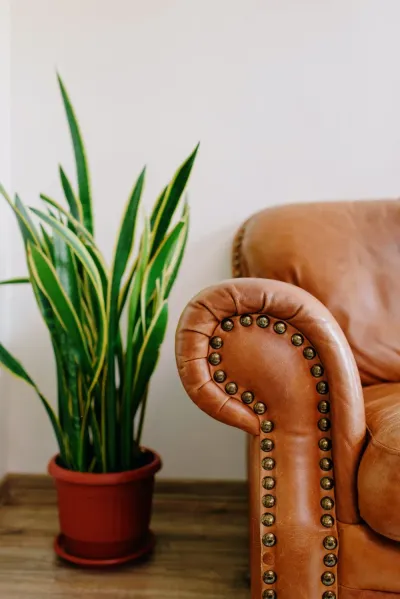 Woodrow House apartments for rent at AptAmigo