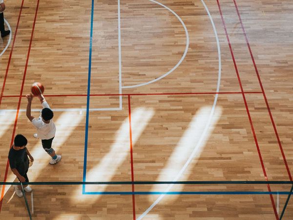 Luxury Chicago Apartments with Indoor Basketball Courts
