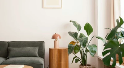 The Fenley apartments for rent at AptAmigo